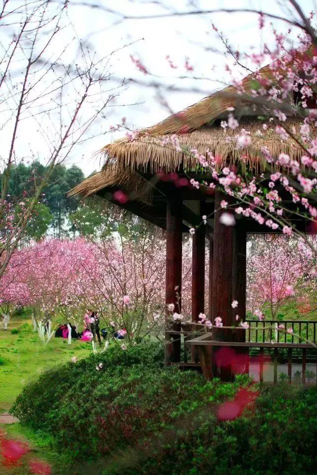 芭比一字肩